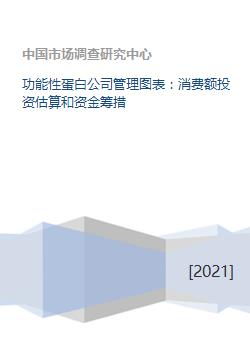 功能性蛋白公司管理圖表 消費(fèi)額投資估算和資金籌措